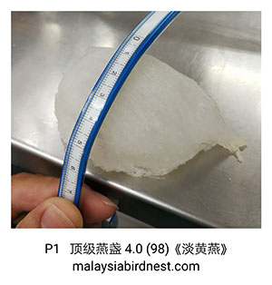 马来西亚燕窝